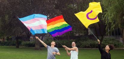 Drei Personen stehen auf einer Wiese und schwingen jeweils eine Pride-Flagge für trans, queere und intergeschlechtliche Menschen