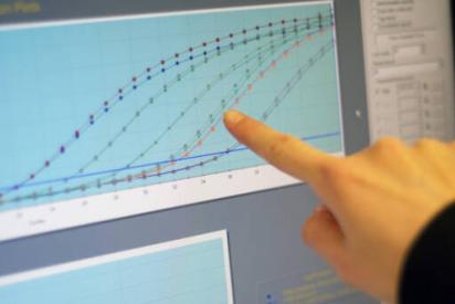 Nahaufnahme einer Hand die auf eine Statistik auf einen Monitor zeigt