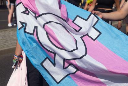 Transflagge mit dem Logo für nicht-binäre Geschlechtsidentität auf der Demonstration, im Hintergrund eine Menschengruppe